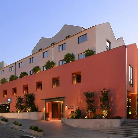 De Gaia, Autograph Collection